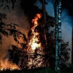 Cambio climático dispara número de muertes por el humo de incendios